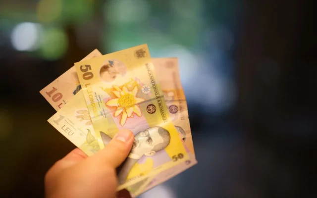 Mână care ține mai multe bancnote românești