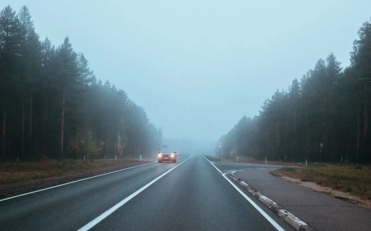 Drum asfaltat printre arbori, cu faruri vizibile în ceața din depărtare