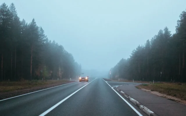 Drum asfaltat printre arbori, cu faruri vizibile în ceața din depărtare